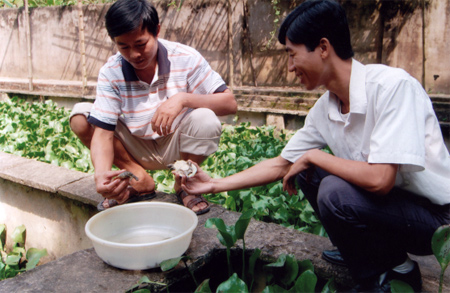 Gia đình hội viên Hà Tiến Hùng ở tổ 28, phường Yên Ninh là một trong những điển hình làm kinh tế giỏi của thành phố với mô hình nuôi ba ba.