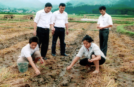 Kiểm tra sản xuất vụ đông tại thôn Cầu Có xã Đông Cuông (Văn Yên).
