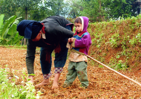 Thay vì được vui đùa với chúng bạn, những đứa trẻ vùng cao phải theo mẹ lên nương.
