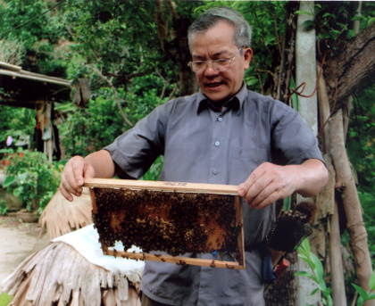 Ông Phùng Thọ Trường kiểm tra tầng ong trước khi vào vụ nghỉ đông.
(Ảnh: Văn Thông)