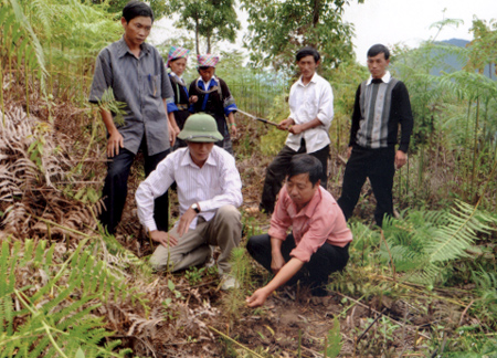 Cán bộ Ban QLRPH Mù Cang Chải kiểm tra rừng phòng hộ tại xã Mồ Dề.
