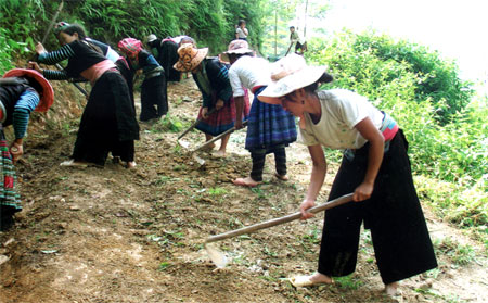 Đồng bào Mông thôn Pín Pé, xã Cát Thịnh tu sửa đường giao thông nông thôn.
