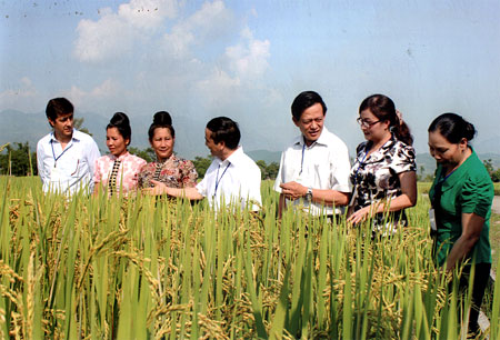 Đồng chí Hoàng Xuân Nguyên - Phó chủ tịch UBND tỉnh (thứ 4, phải sang) và Đại sứ đặc mệnh toàn quyền Vương quốc Tây Ban Nha tại Việt Nam, Giám đốc Trung tâm Khuyến nông Quốc gia, lãnh đạo Hội Liên hiệp phụ nữ tỉnh thăm và đánh giá năng suất lúa áp dụng phân viên nén dúi sâu (FDP)  tại thị xã Nghĩa Lộ do Hội triển khai thực hiện từ năm 2008 đến nay.
