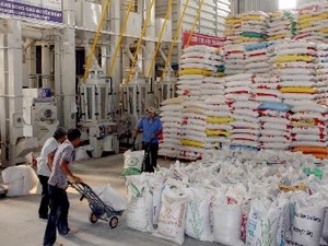 Chế biến gạo xuất khẩu