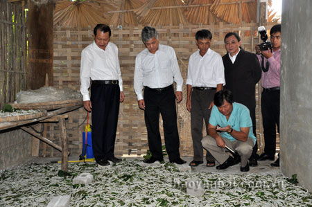Phó thủ tướng Vũ Văn Ninh cùng lãnh đạo tỉnh thăm mô hình trồng dâu nuôi tằm xã Báo Đáp.