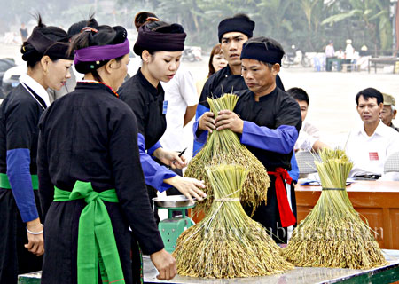 Các đội nhận nguyên liệu lúa nếp từ Ban tổ chức, đem về chia thành túm nhỏ để nướng.