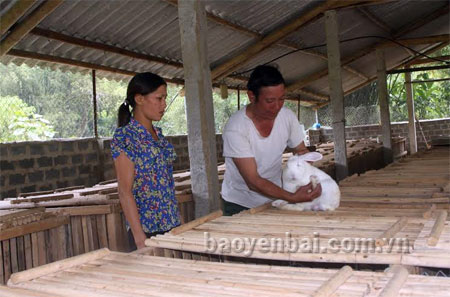 Ông Phạm Hữu Chanh hướng dẫn cách nuôi thỏ cho người dân địa phương