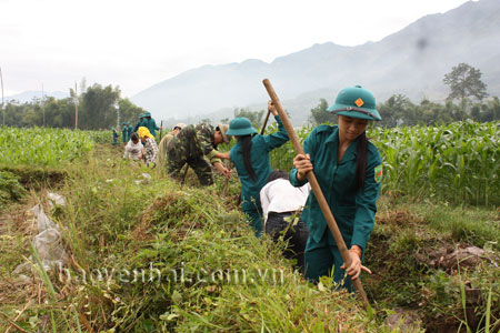 Chủ nhiệm Chính trị Bộ Chỉ huy Quân sự tỉnh Yên BáiLực lượng dân quân tự vệ phối hợp cùng các đoàn thể và nhân dân địa phương nạo vét kênh mương nội đồng.