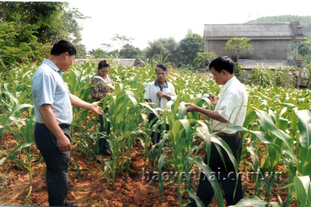Lãnh đạo xã Yên Bình trao đổi với người dân về phát triển kinh tế gia đình trong Chương trình xây dựng nông thôn mới.
