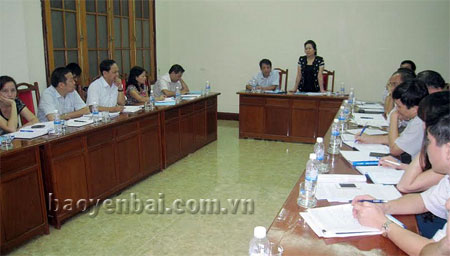 Đồng chí Ngô Thị Chinh - Phó chủ tịch UBND tỉnh phát biểu kết luận tại buổi làm việc.