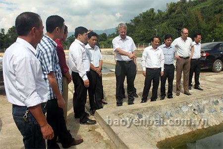 Đồng chí Hoàng Xuân Nguyên - Phó chủ tịch UBND tỉnh (người đứng thứ tư từ  phải sang) và đoàn công tác kiểm tra Dự án thoát nước tại thị trấn Nông trường Nghĩa Lộ.