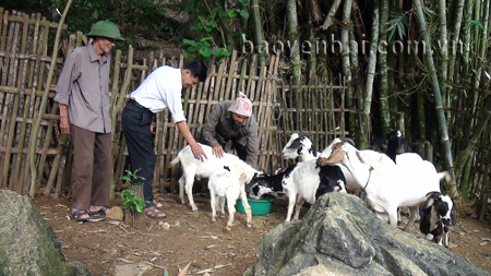 Ông Miên (phải) đang phổ biến kinh nghiệm chăn nuôi dê cho bà con trong thôn.

