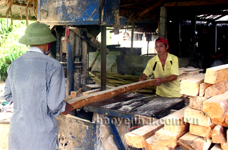 Cơ sở chế biến của gia đình anh Lương Văn Vinh mỗi năm tiêu thụ 150 mét khổi gỗ rừng trồng cho người dân trong xã.
