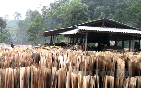 Một xưởng chế biến gỗ rừng trồng trên địa bàn xã Trung Tâm.
