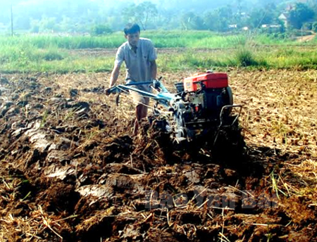 Nông dân huyện Yên Bình làm đất gieo trồng rau màu vụ đông.
