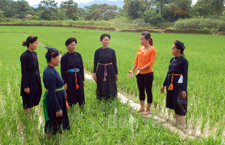 Phun nữ các xã vùng Đông hồ Thác Bà (Yên Bình) tích cực tiếp thu kiến thức khoa học kỹ thuật, áp dụng vào sản xuất.