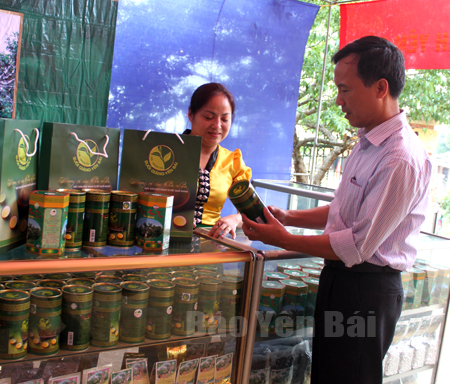 Sản phẩm chè Tuyết Sơn Trà của HTX Suối Giàng, huyện Văn Chấn được nhiều người tiêu dùng lựa chọn.