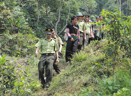 Cán bộ Hạt Kiểm lâm huyện Văn Chấn cùng nhân dân tăng cường kiểm tra, bảo vệ rừng. (Ảnh: Văn Thông)