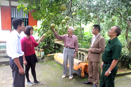 Các tổ chức, đoàn thể xã Phú Thịnh thăm mô hình trồng bưởi Khả Lĩnh của ông Bùi Xuân Trường, thôn Đồng Tâm.