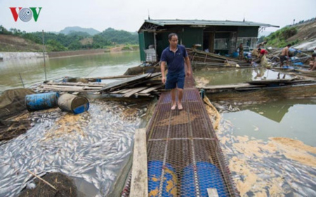 Thủy điện xả lũ khiến cuộc sống, sản xuất của người dân bị ảnh hưởng.