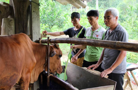 Ông Lạc Quang Mây - Bí thư Chi bộ thôn Chanh Yên tham quan một mô hình kinh tế của thanh niên trong thôn.