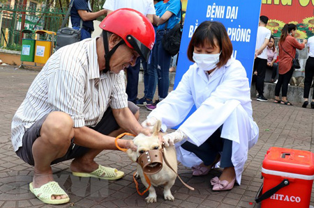 Người dân mang chó đến tiêm phòng dại miễn phí.