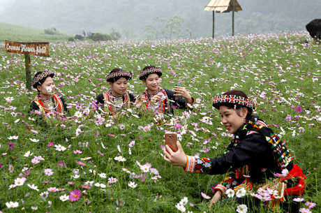 Cánh đồng hoa bướm trên bình nguyên Khai Trung luôn hấp dẫn các du khách thập phương tới chiêm ngưỡng.