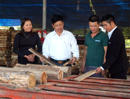 Chế biến gỗ rừng trồng của các doanh nghiệp trên địa bàn tỉnh mang lại hiệu quả kinh tế cao, đóng góp vào tăng thu ngân sách và giải quyết việc làm cho lao động địa phương.