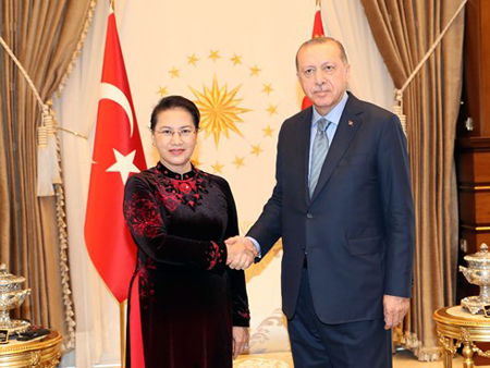 Chủ tịch Quốc hội Nguyễn Thị Kim Ngân tiếp kiến Tổng thống Thổ Nhĩ Kỳ Recep Tayyip Erdogan.