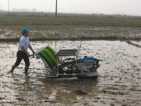 Nông nghiệp Việt Nam đang đứng trước khó khăn về khả năng cạnh tranh và tác động tiêu cực của thiên tai và biến đổi khí hậu