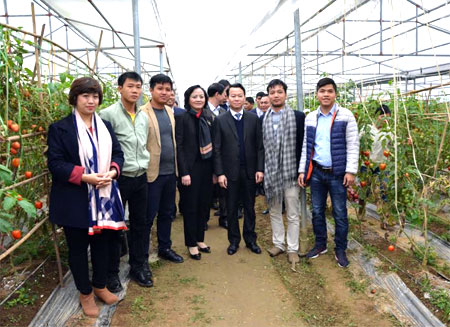 Các đồng chí lãnh đạo tỉnh thăm Hợp tác xã Thanh niên Q & C (Văn Yên)
