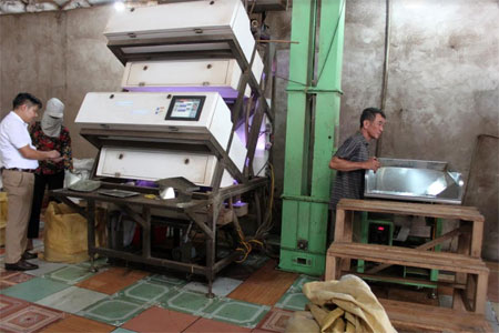 HTX Dịch vụ tổng hợp Kiến Thuận (Văn Chấn) đã đầu tư mới máy tách cẫng chè để nâng cao chất lượng sản phẩm.