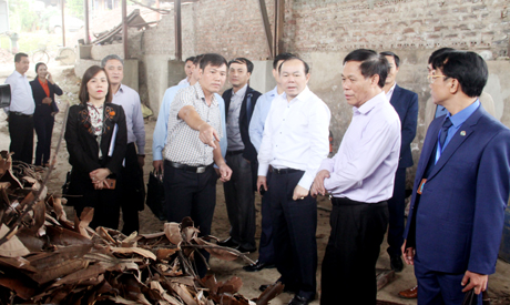 Đoàn công tác tham quan dây chuyền sản xuất của HTX Dịch vụ nông, lâm nghiệp tổng hợp Công Tâm, huyện Văn Yên