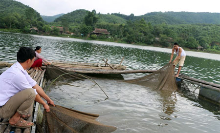 Nuôi cá lồng trên hồ đang mang lại thu nhập cao cho người dân thôn Làng Ven.