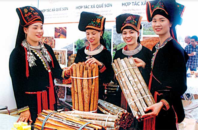 Các thiếu nữ người Dao Văn Yên giới thiệu sản phẩm quế vỏ xuất khẩu.
(Ảnh: T.L)