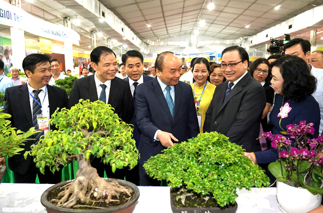 Thủ tướng Nguyễn Xuân Phúc cùng các đại biểu dự Hội nghị tổng kết 10 năm xây dựng nông thôn mới tại Hà Nội.