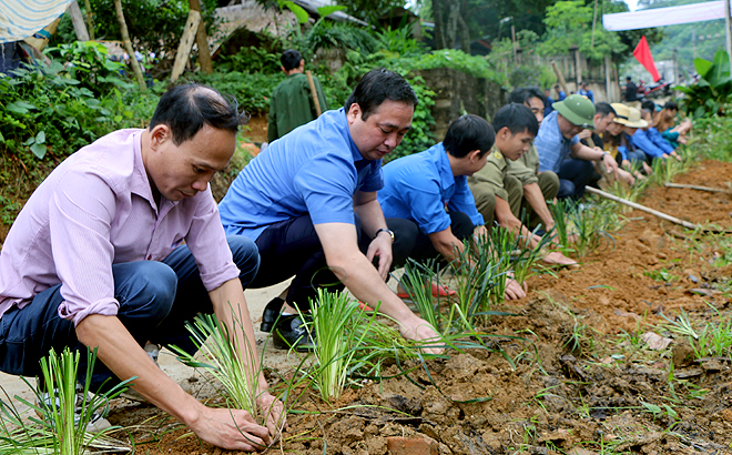 Bí thư Huyện ủy Yên Bình Đoàn Hữu Phung (thứ 2 từ trái sang) cùng nhân dân xã Tân Hương trồng xanh tại thôn Loan Thượng.