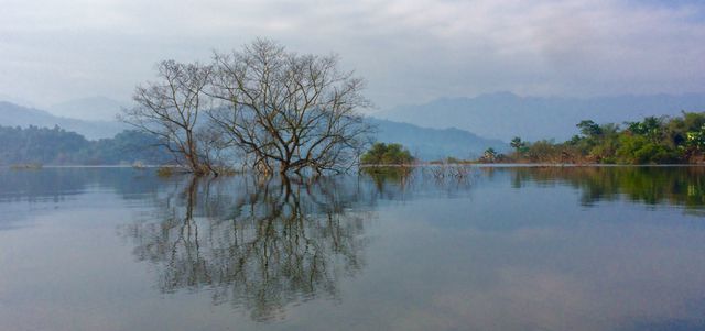 Vườn quốc gia Vũ Quang (Hà Tĩnh).