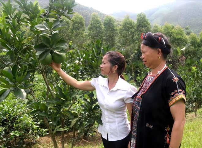 Mô hình kinh tế tổng hợp của chị Đặng Thị Nhâm, thôn Đồng Tý (bên phải) được Hội Phụ nữ xã Phúc An giới thiệu để chị em trong xã nhân rộng.