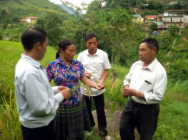 Người cao tuổi xã Trạm Tấu, huyện Trạm Tấu phối hợp với chính quyền, đoàn thể vận động nhân dân đẩy mạnh phát triển kinh tế.