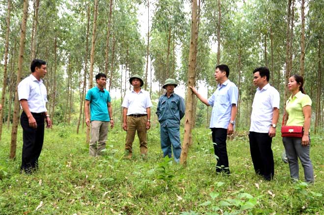 Lãnh đạo Hội Nông dân tỉnh thăm đồi rừng thực hiện mô hình “Làng nông thuận thiên” của gia đình anh Trần Trung Kiên, thôn Mạ, xã Vĩnh Kiên, huyện Yên Bình.