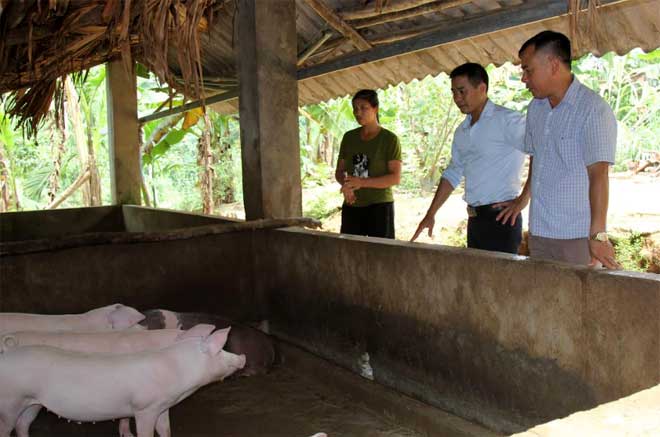 Lãnh đạo xã Hòa Cuông, huyện Trấn Yên tuyên truyền đến các hộ chăn nuôi về cách chăm sóc, phòng bệnh cho đàn lợn hiện có.