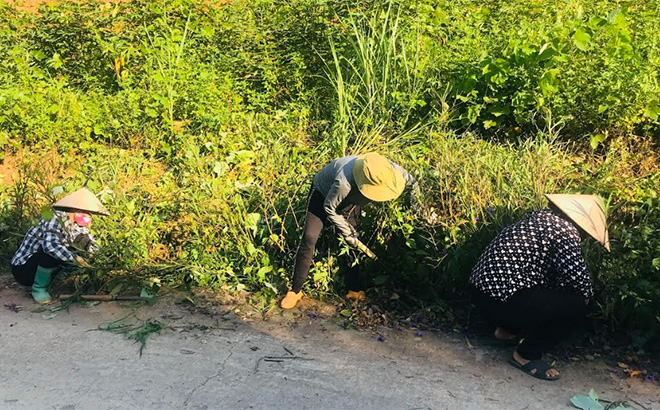 Phụ nữ xã Mậu Đông, huyện Văn Yên dọn vệ sinh tuyến đường tự quản.
