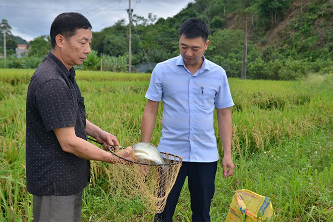 Ông Nguyễn Quốc Tuyển trao đổi kỹ thuật nuôi cá với cán bộ xã Yên Thái.