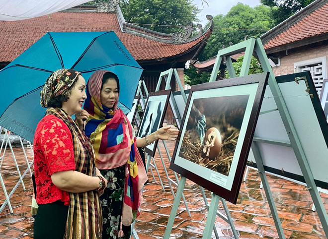 Cuộc thi và triển lãm ảnh nghệ thuật Việt Nam 2020 thu hút sự quan tâm của công chúng.