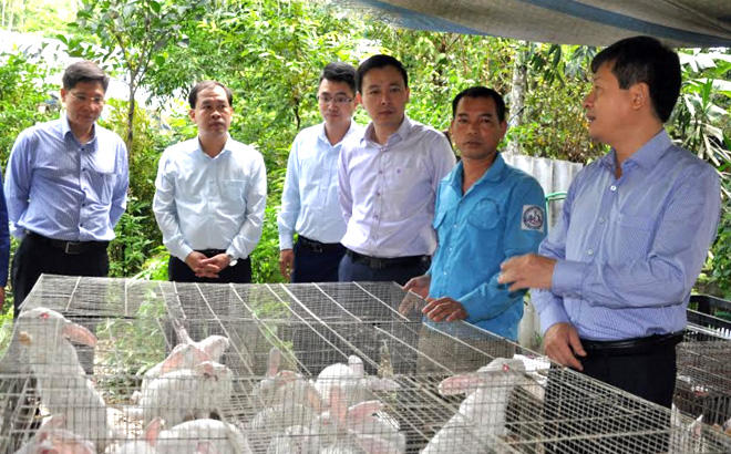 Đồng chí Ngô Hạnh Phúc - Phó Chủ tịch UBND tỉnh (ngoài cùng bên phải) cùng đoàn công tác của tỉnh thăm mô hình chăn nuôi thỏ tại xã Đại Đồng.
