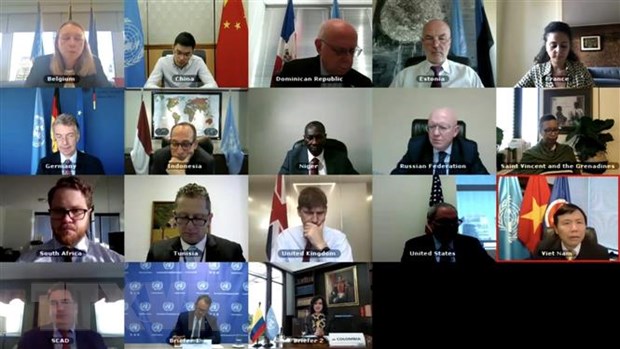 Một cuộc họp trực tuyến của Hội đồng Bảo an Liên hợp quốc.