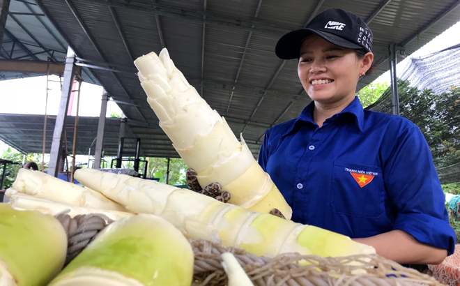 Thành viên Hợp tác xã Dịch vụ tổng hợp Kiên Thành sơ chế măng tre Bát độ. Ảnh: Hoài Văn