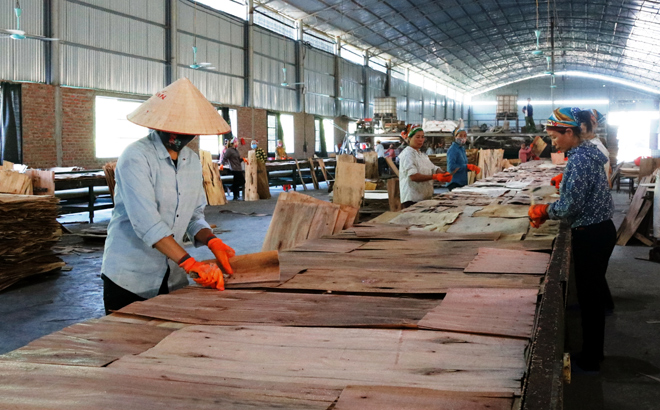 Workers in Van Yen district operate a plywood production line
