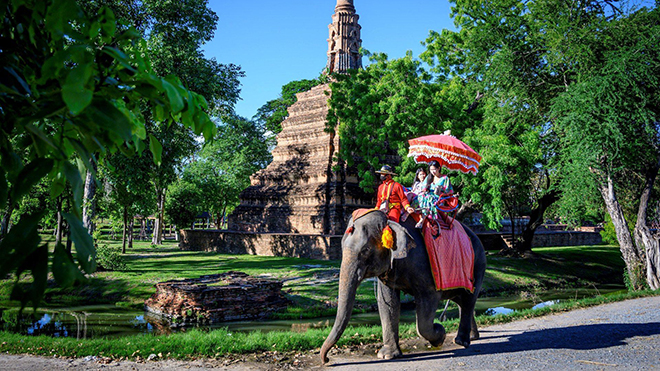 Du khách cưỡi voi tại Ayutthaya, Thái Lan